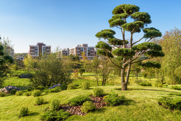 现代城市里美丽的公园图片下载