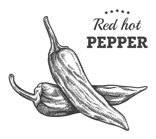 红火四插图的辣椒版画图片下载