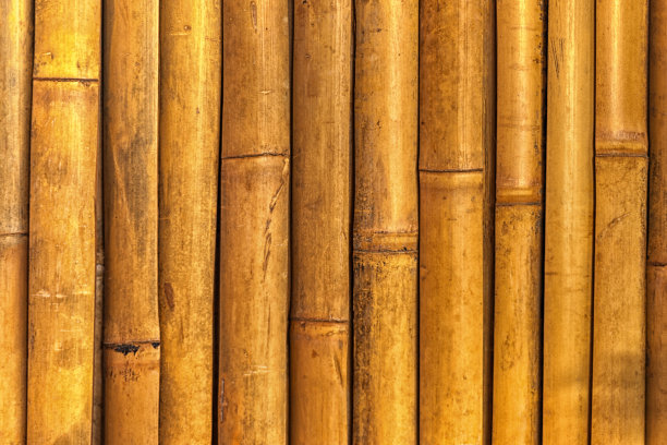 真正的竹木材图片下载