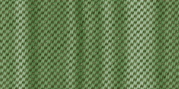 绿色交叉编织纹理。柳条藤背景面。3D渲染。3D插图。图片下载