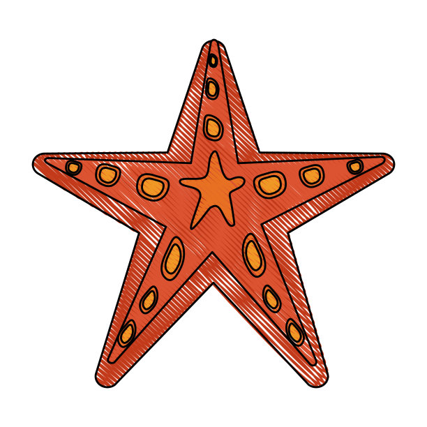 海星孤立图片下载