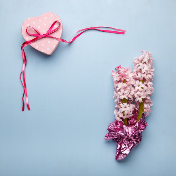 粉红色的风信子花和心形的礼盒在蓝色的背景。情人节卡片。前视图。副本的空间。图片下载