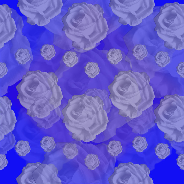无缝褪色的玫瑰在蓝色图片下载