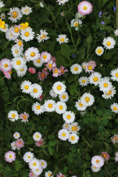 户外农场图片下载