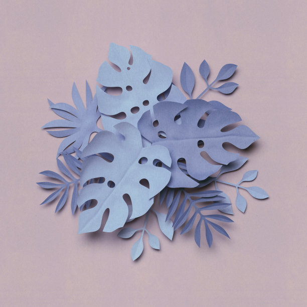 3d渲染，纸丛林树叶，装饰背景，热带自然，纹理图片下载