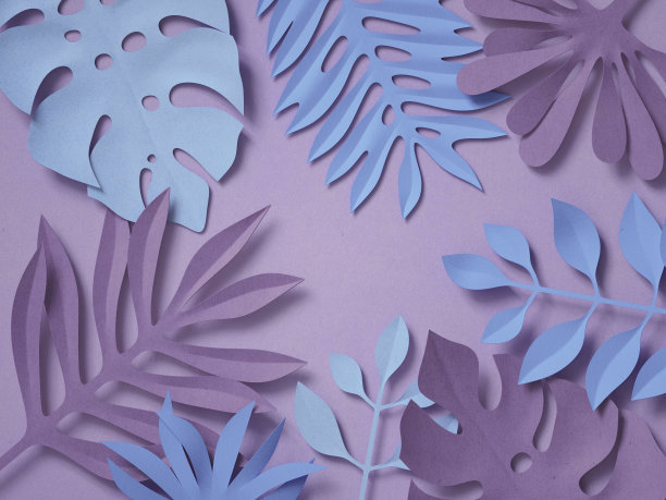 3d渲染，数字插图，纸丛林树叶，花卉装饰，热带自然，植物背景，柔和的颜色图片下载