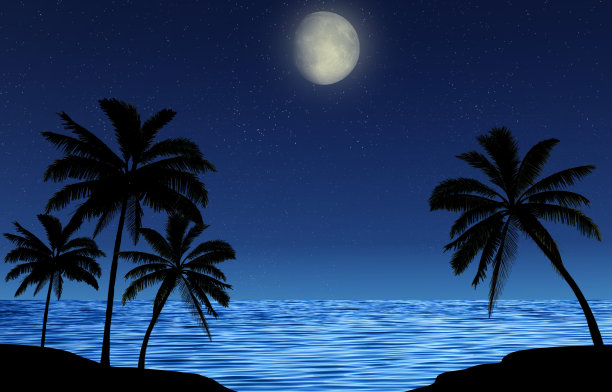棕榈树的剪影在夜晚的海边，星空和闪亮的月亮。浪漫的风景。图片下载