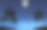 棕榈树的剪影在夜晚的海边，星空和闪亮的月亮。浪漫的风景。图片下载