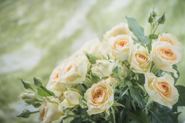 玫瑰花束色调的形象图片下载