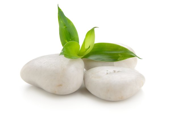 竹叶照片素材ID：304572876