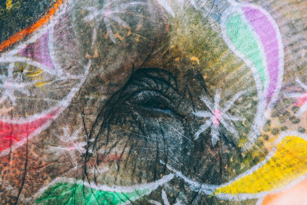 大象的脸彩绘装饰。印度拉贾斯坦邦斋浦尔图片下载