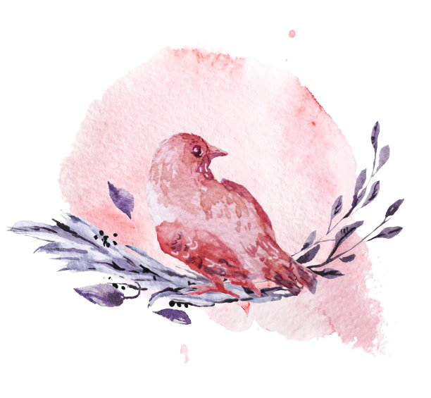 花鸟插画素材ID：304577706