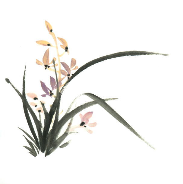 手绘墨野兰花。素材图片