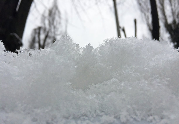 冬天的视图图片下载