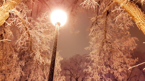 2017年1月哈尔科夫冬季公园亮灯图片下载