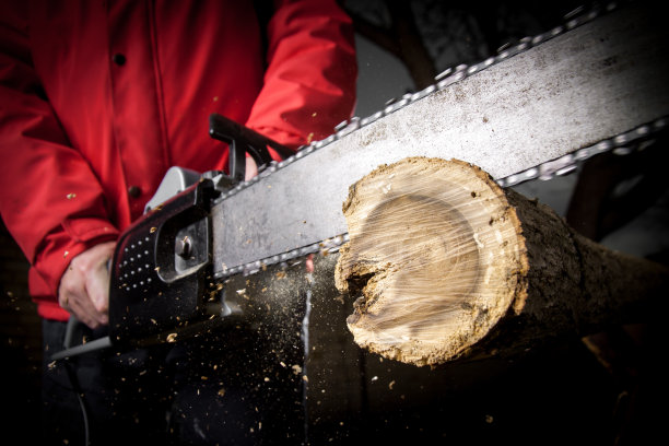 一个人用链锯砍树图片下载