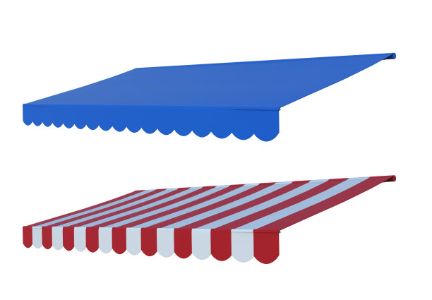 天篷树冠孤立图片下载