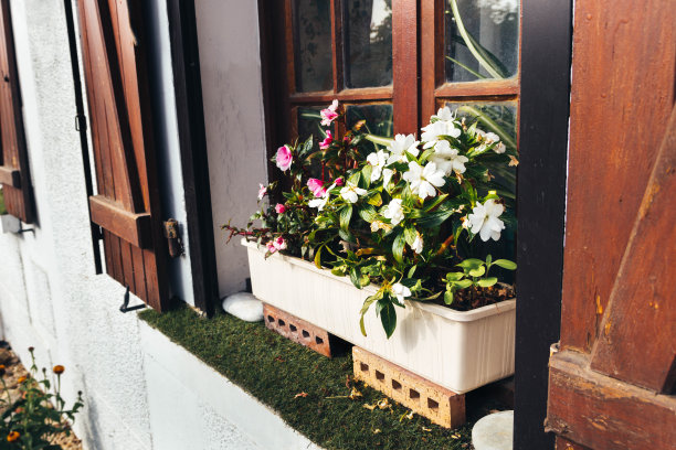 花盆里的花，法国村庄里带百叶窗的窗户图片下载