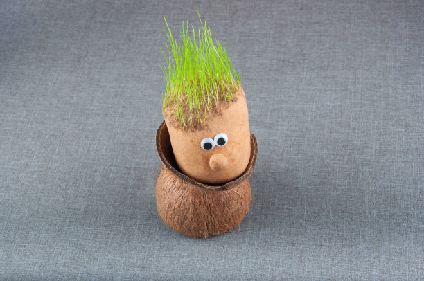 玩具人物的玩具小男人与新鲜的草毛坐在椰子壳在灰色织物的背景图片下载