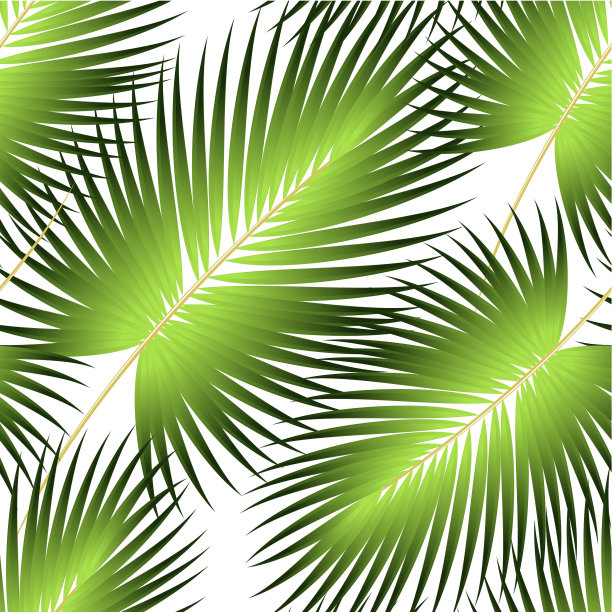 热带棕榈树的图案，丛林的叶子。向量花卉图案。图片下载