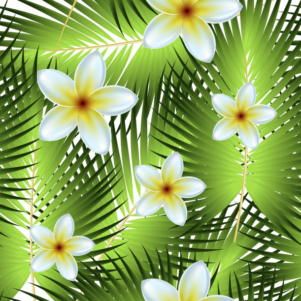 热带棕榈树的图案，丛林的叶子。向量花卉图案。图片下载