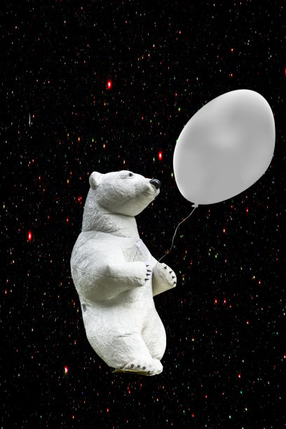 白熊在星星之间图片下载
