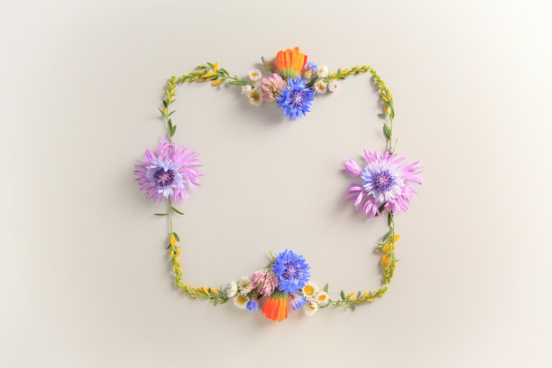 花卉框架的夏季明亮的色彩与复制空间为您设计图片下载