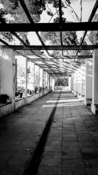 Spring garden way tunnel with white columns and a wooden pergola by which the sun rays pass, Montjuic Park, Barcelona, Spain。黑白摄影。图片下载