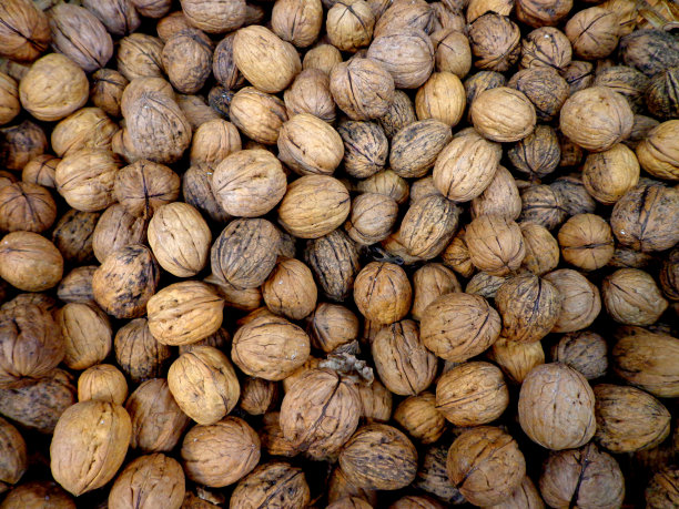 核桃自然图片下载