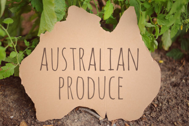 澳大利亚纸板剪出澳大利亚生产信息图片下载