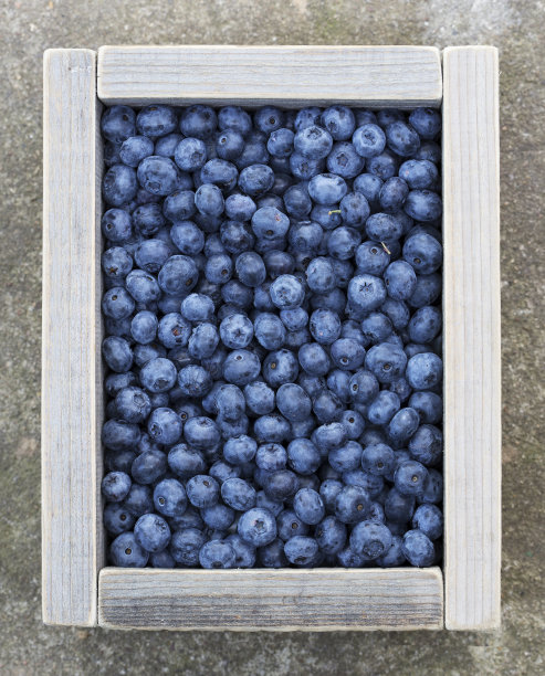 新鲜采摘的蓝莓装在木箱里。图片下载