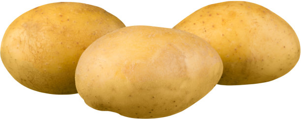 淀粉。图片下载