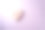 玫瑰图片素材ID：304616280