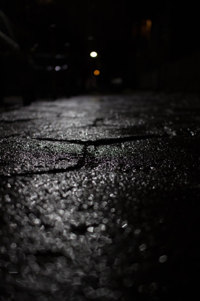 保加利亚索菲亚夜晚潮湿的人行道图片下载