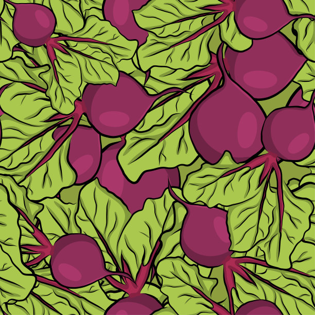 无缝图案手绘花园甜菜图片下载