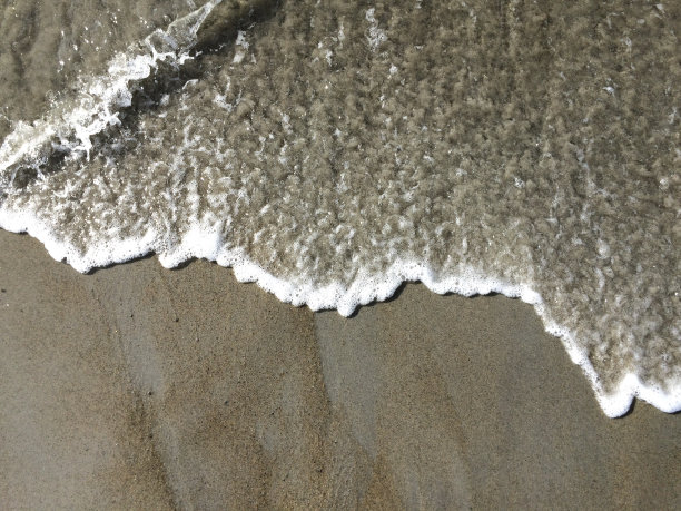 IMG_8390波图片下载