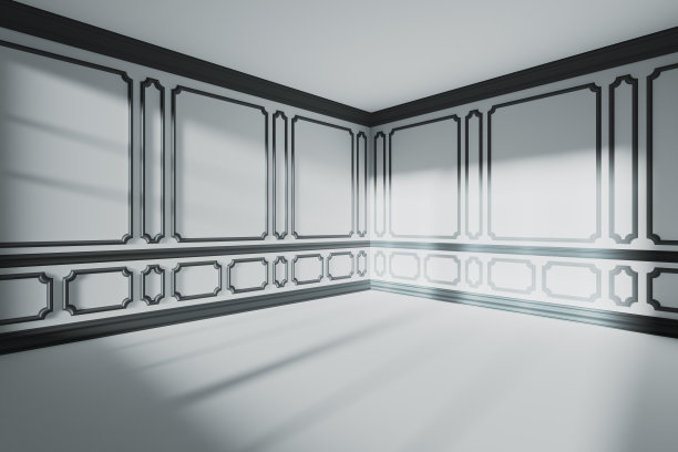 白色空房配黑色古典风格的宽角度装饰图片下载