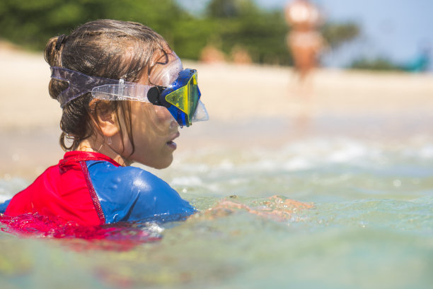 夏天的乐趣图片下载