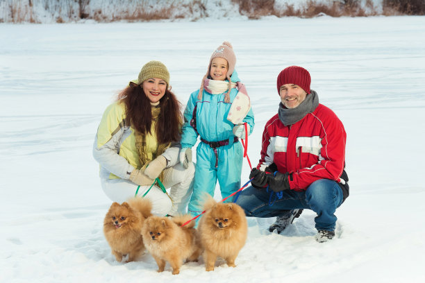 一家三口在结冰的湖面上散步，和欢快的红狗一起大笑、微笑，玩得很开心图片下载