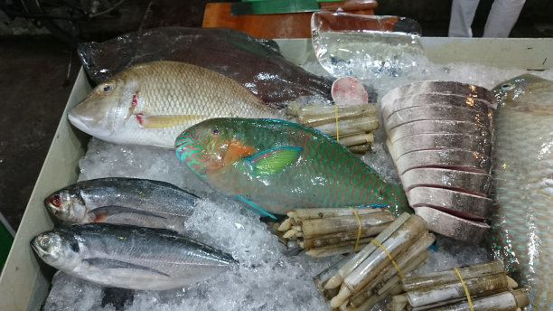 新鲜的鱼图片下载