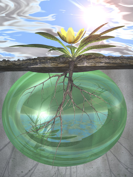 根和增长图片下载