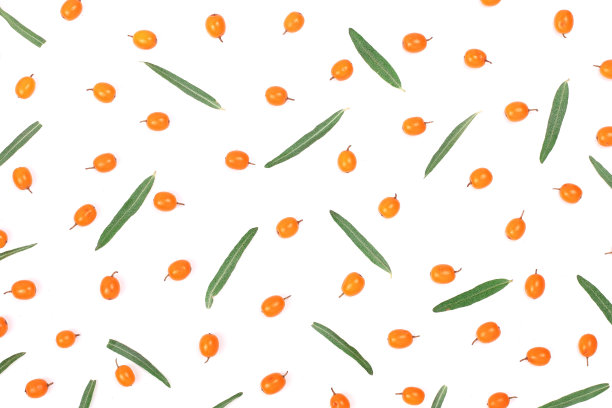 白色背景下的蔬菜全帧拍摄图片下载