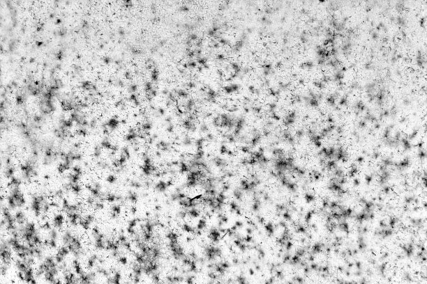 锈迹斑斑的金属墙面纹理黑白相间。图片下载