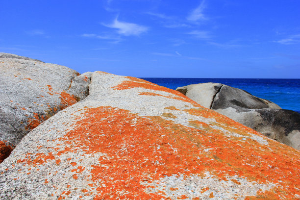橙色和蓝色图片下载