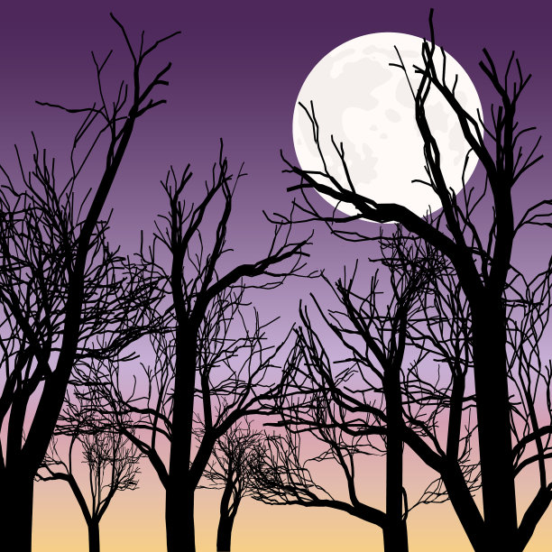 蓝天上的满月图片下载