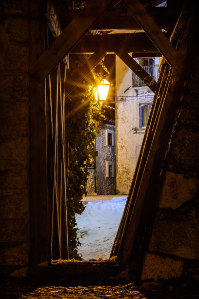 橡树的冬天图片下载