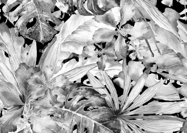 热带的模式。水彩画泰国棕榈，怪兽，木槿，香蕉树。图片下载