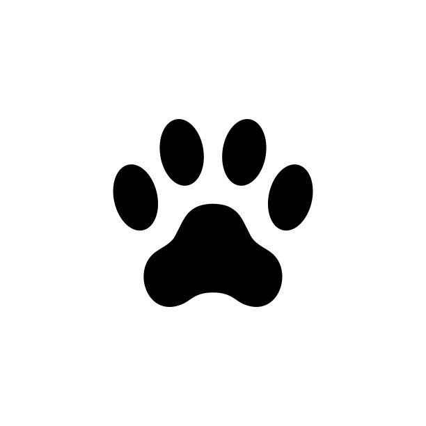 猫爪印。足迹。动物爪子孤立在白色背景图片下载