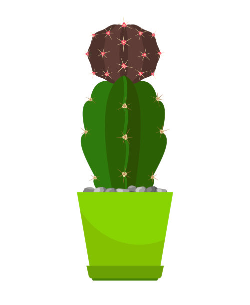 绿色花盆里的仙人掌图片下载