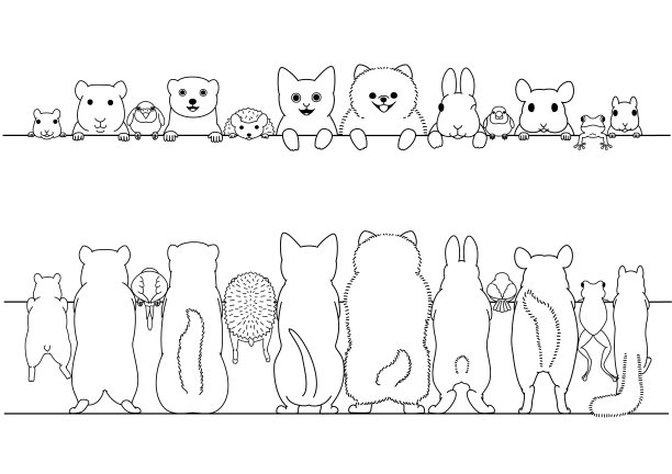 站立宠物动物前面和后面的边界设置图片下载